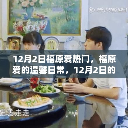 福原愛(ài)，溫馨日常中的意外驚喜與友情力量，12月2日的聚焦時(shí)刻