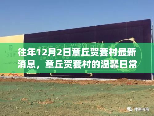 章丘賀套村12月2日最新動態(tài)，溫馨日常的嶄新篇章