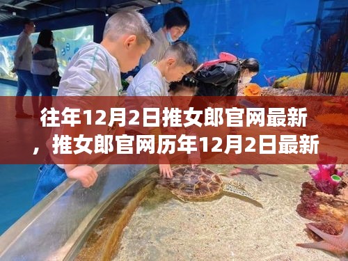 推女郎官網(wǎng)歷年12月2日回顧，從起步到時(shí)代足跡的歷程