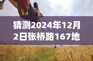 張橋路167地塊，溫馨日常的預(yù)測與小故事的美好展望（2024年12月2日）