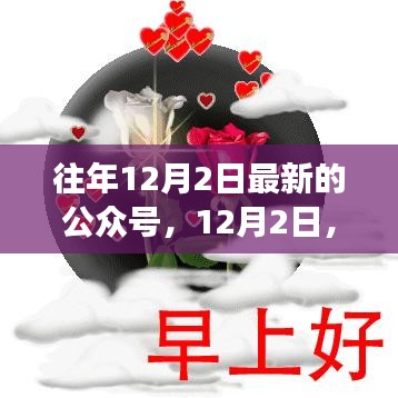 公眾號(hào)里的溫馨日常故事，友情、家庭與愛的紐帶紐帶（12月2日更新）