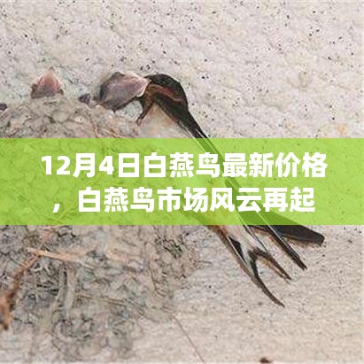 回眸最初 第9頁