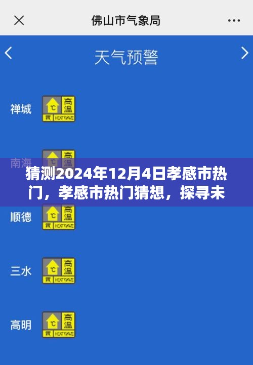 探尋孝感市未來(lái)魅力風(fēng)采，2024年12月4日熱門猜想與風(fēng)采展望