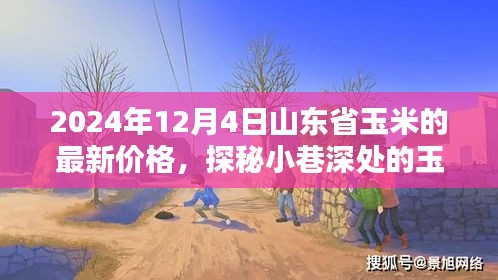 山東省玉米秘境探秘，最新價(jià)格與隱藏特色小店的奇妙邂逅