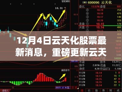 云天化股票最新動(dòng)態(tài)揭秘，市場走勢分析與前景展望（12月4日更新）
