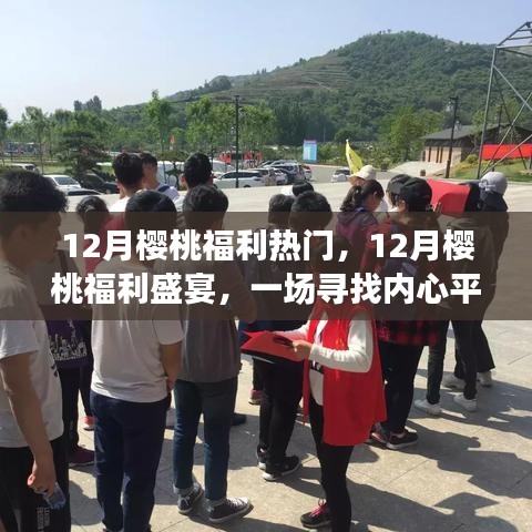 12月櫻桃福利盛宴，心靈寧?kù)o的櫻桃之旅
