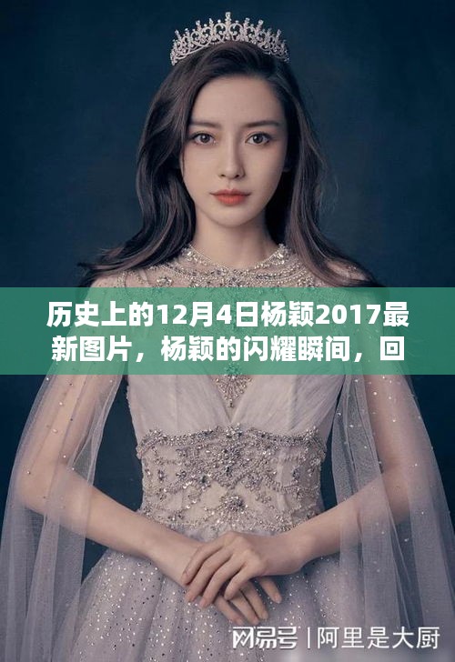 楊穎在歷史上的閃耀瞬間，回顧十二月四日的最新風(fēng)采與閃耀瞬間圖片集