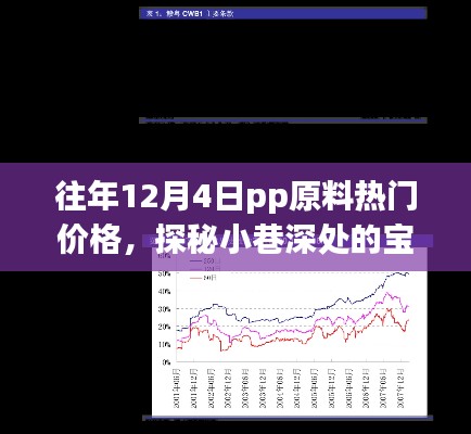往年12月4日PP原料熱門價格探秘，小巷深處的獨特風(fēng)情小店