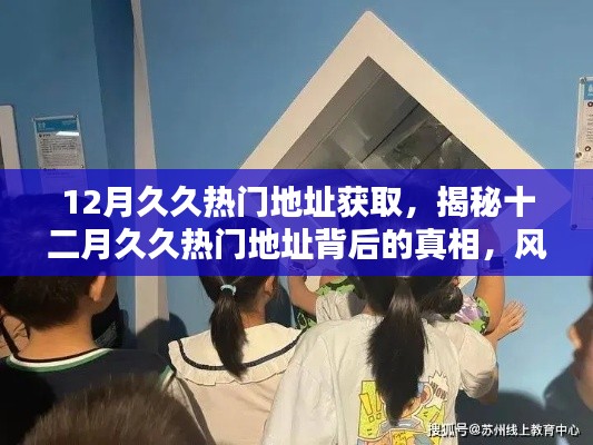 揭秘十二月久久熱門地址背后的真相，風險警示與網(wǎng)絡安全科普知識分享