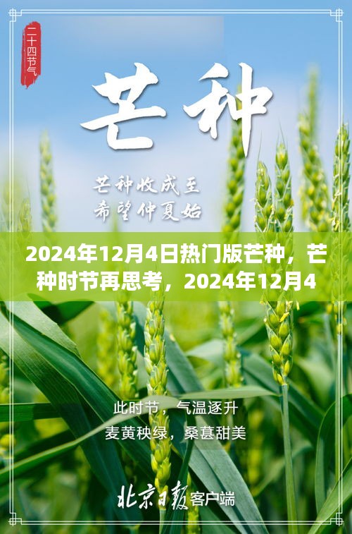 建議，芒種時(shí)節(jié)再思考，2024年熱門(mén)版芒種的深層意義與影響