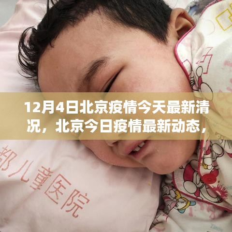 北京疫情最新動態(tài)，背景、進(jìn)展與影響，今日疫情最新情況分析（12月4日）