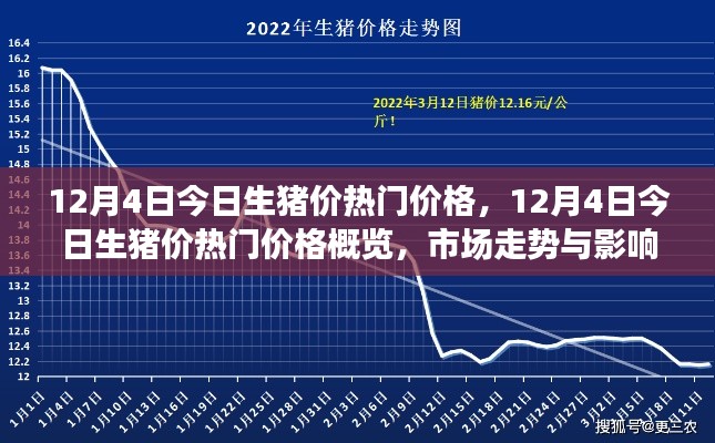 12月4日生豬價熱門概覽，深度解析市場走勢與影響因素