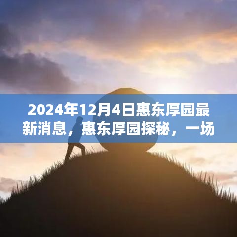 揭秘惠東厚園，自然美景的心靈之旅（最新消息）