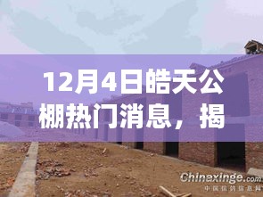 皓天公棚角落的神秘小店，味蕾與環(huán)境的獨(dú)特邂逅揭秘
