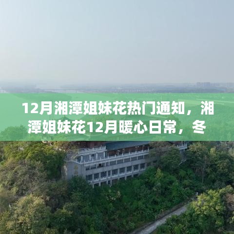 湘潭姐妹花暖心日常，十二月趣事與深厚友情的紐帶