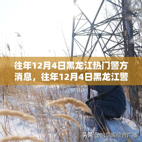 黑龍江警方警務動態(tài)熱點聚焦，警務影響分析與公眾關注焦點解讀