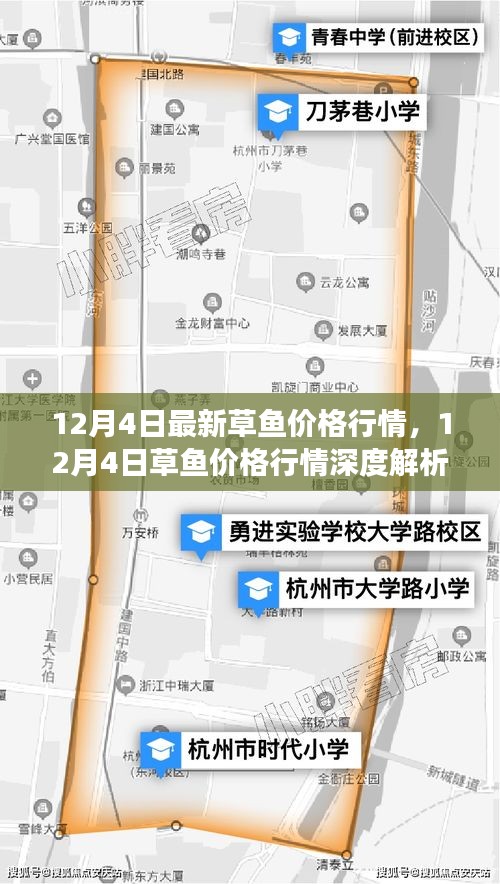 12月4日草魚價(jià)格行情解析，市場(chǎng)走勢(shì)、影響因素及選購(gòu)指南