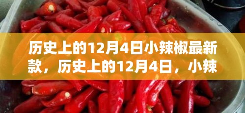 歷史上的小辣椒最新款誕生與影響，揭秘12月4日的獨(dú)特意義
