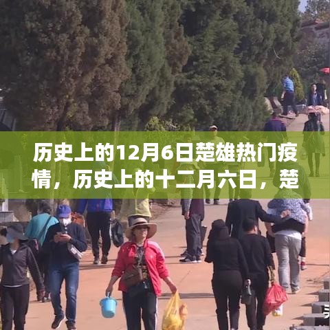 歷史上的十二月六日，楚雄疫情風(fēng)云變遷回顧