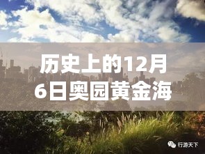 揭秘黃金海岸，歷史上的12月6日最新動態(tài)與發(fā)展歷程揭秘