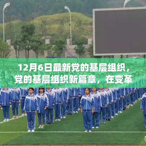 變革之光，黨的基層組織新篇章，12月6日最新發(fā)展