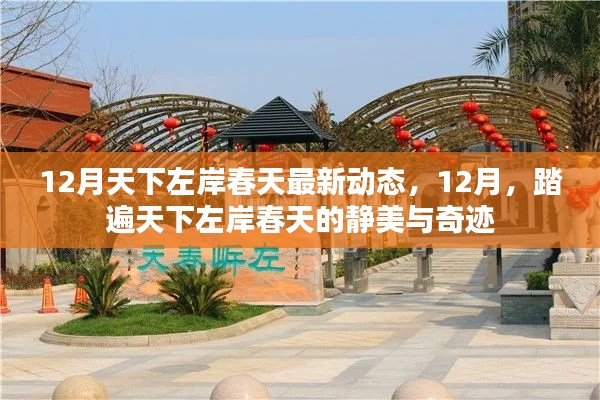 12月踏遍天下左岸春天，最新動態(tài)與靜美奇跡全解析