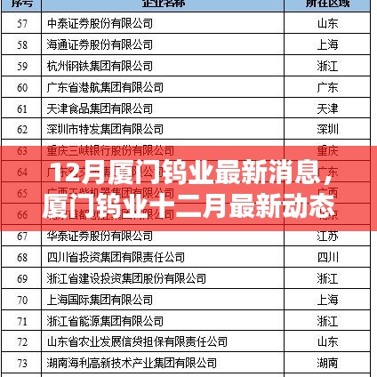 廈門鎢業(yè)十二月最新動態(tài)概覽，最新消息概覽