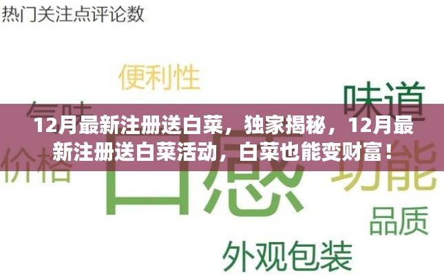 獨家揭秘，12月最新注冊送白菜活動，白菜也能變財富狂歡！