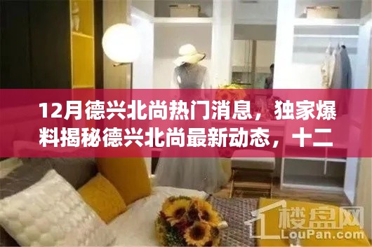 獨(dú)家爆料，德興北尚十二月最新動(dòng)態(tài)揭秘，震撼消息一網(wǎng)打盡！