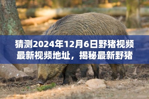 回眸最初 第6頁(yè)