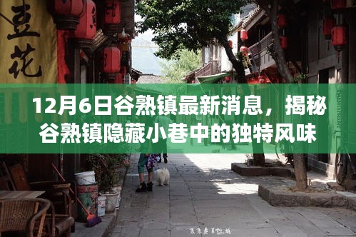谷熟鎮(zhèn)特色小店揭秘，隱藏小巷的獨(dú)特風(fēng)味最新故事