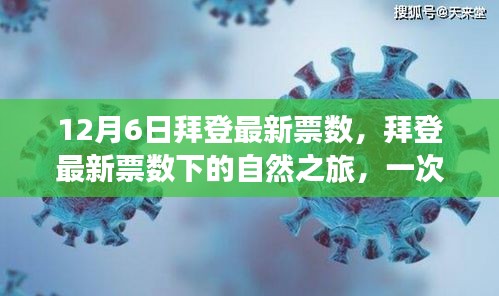 拜登最新票數(shù)背后的奇妙心靈之旅，尋找內(nèi)心平靜的探險(xiǎn)之旅