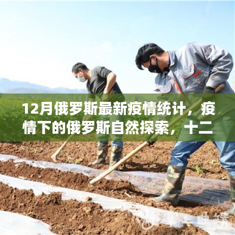 俄羅斯最新疫情統(tǒng)計(jì)與寧?kù)o探索，十二月疫情下的自然之旅
