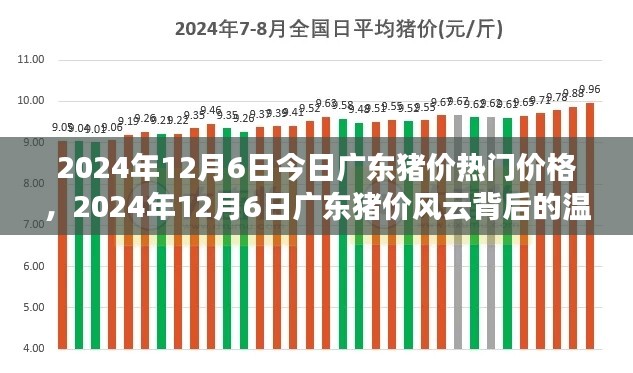 廣東豬價風(fēng)云背后的溫情故事，最新價格動態(tài)與深度解讀