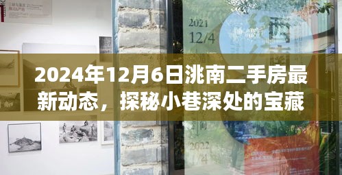 探秘洮南小巷寶藏，揭秘二手房市場最新動態(tài)與獨特小店的奇遇記（最新資訊，2024年12月6日）
