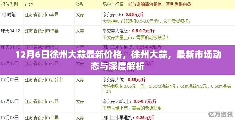 徐州大蒜最新價(jià)格動(dòng)態(tài)，深度解析與市場(chǎng)走勢(shì)預(yù)測(cè)
