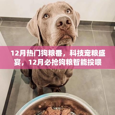 12月熱門狗糧番與智能投喂器新品亮相，科技寵糧盛宴開啟