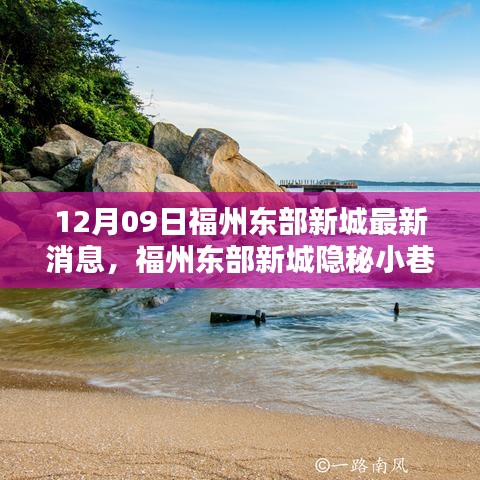 12月09日福州東部新城最新消息，福州東部新城隱秘小巷中的寶藏小店，12月獨(dú)家新鮮探秘