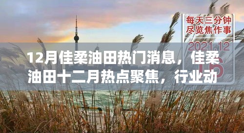佳柔油田十二月動態(tài)，行業(yè)熱點聚焦與技術進展