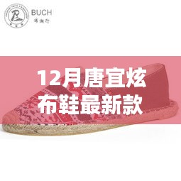唐宜炫布鞋最新科技風(fēng)尚款，融合傳統(tǒng)與智能，引領(lǐng)時(shí)尚新潮流的價(jià)格揭秘
