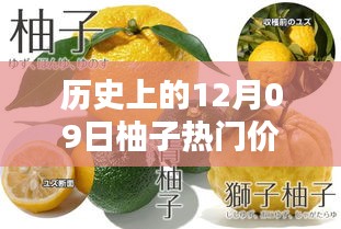揭秘柚子歷史價(jià)格，柚子價(jià)格查詢(xún)?nèi)ヂ裕ㄟm合初學(xué)者與進(jìn)階用戶(hù)）