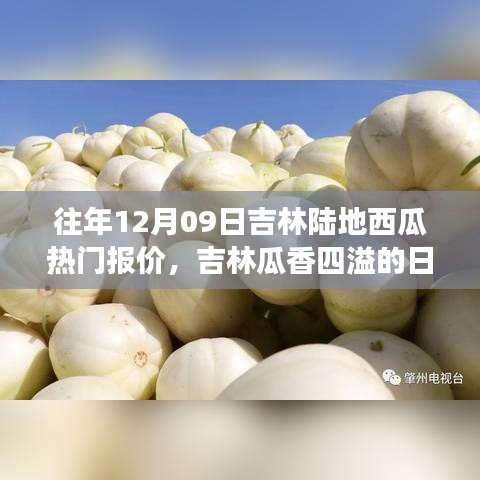 吉林瓜香四溢的日子，瓜農(nóng)的溫馨故事與陸地西瓜熱門報價回顧