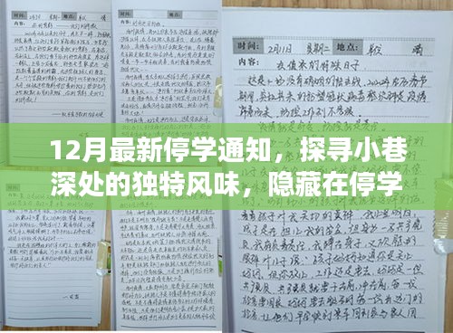 12月最新停學通知，探尋小巷深處的獨特風味，隱藏在停學通知背后的秘密小店