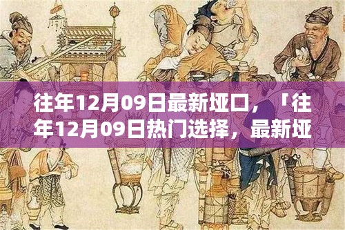 往年12月09日最新埡口產(chǎn)品評(píng)測(cè)與介紹，熱門(mén)選擇詳解