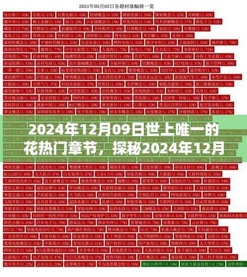 探秘世上唯一的花，揭秘熱門章節(jié)三大要點（日期，2024年12月09日）