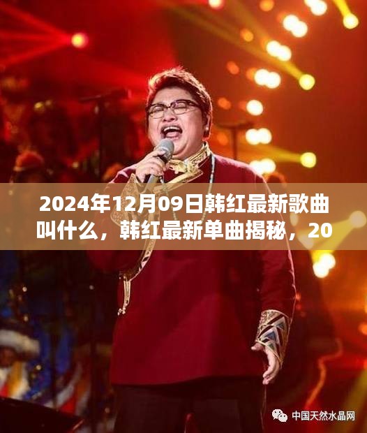 韓紅最新單曲揭秘與全面測評，2024年12月09日之作