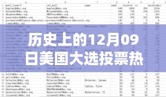 美國大選投票熱門數(shù)據(jù)深度解析，歷史上的十二月九日回顧與解析