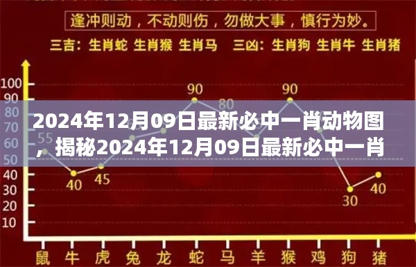 揭秘彩票背后的秘密策略，揭秘必中一肖動物圖的犯罪真相
