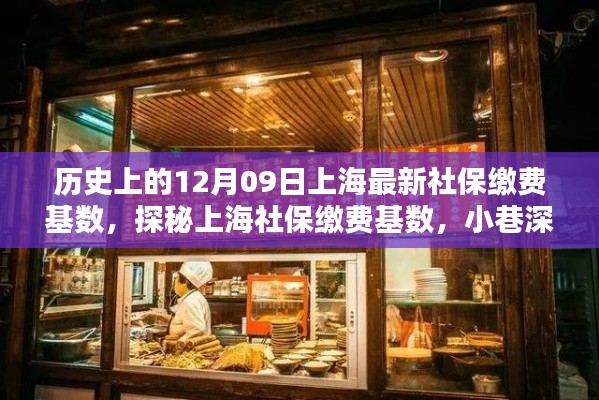 探秘上海社保繳費基數(shù)，歷史變遷中的特色小店與獨特風(fēng)情（上海最新社保繳費基數(shù)解析）
