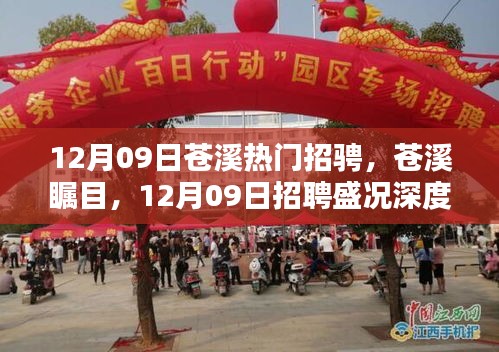 12月09日蒼溪熱門招聘盛況深度解析，矚目的人才市場概覽